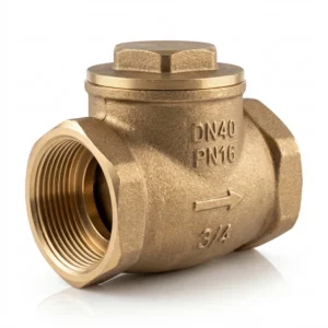 Swing check valve