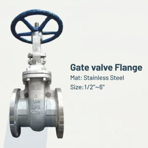 Gate valve Flange
